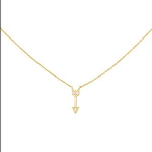 NWT Uncommon James Due South Necklace